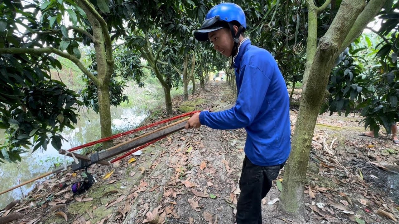 Đệ Tử Ruột Của Balaxong Ra Tay “ Bách Phát Bách Trúng “ - TT2359