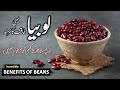 Lobia لوبیا Ke Fayde Benefits Of Beans Tibe Ahlebait Part 206 Maulana Syed Ali Naqi Kazmi 