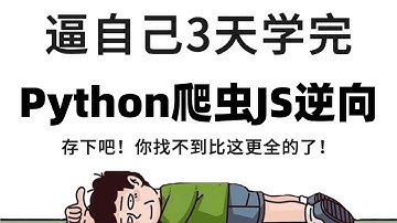 【无逆向难爬虫】从零基础教你！爬虫高手进阶之路，价值上万的Python逆向教程，逼自己一个月学完，编程技术猛涨！
