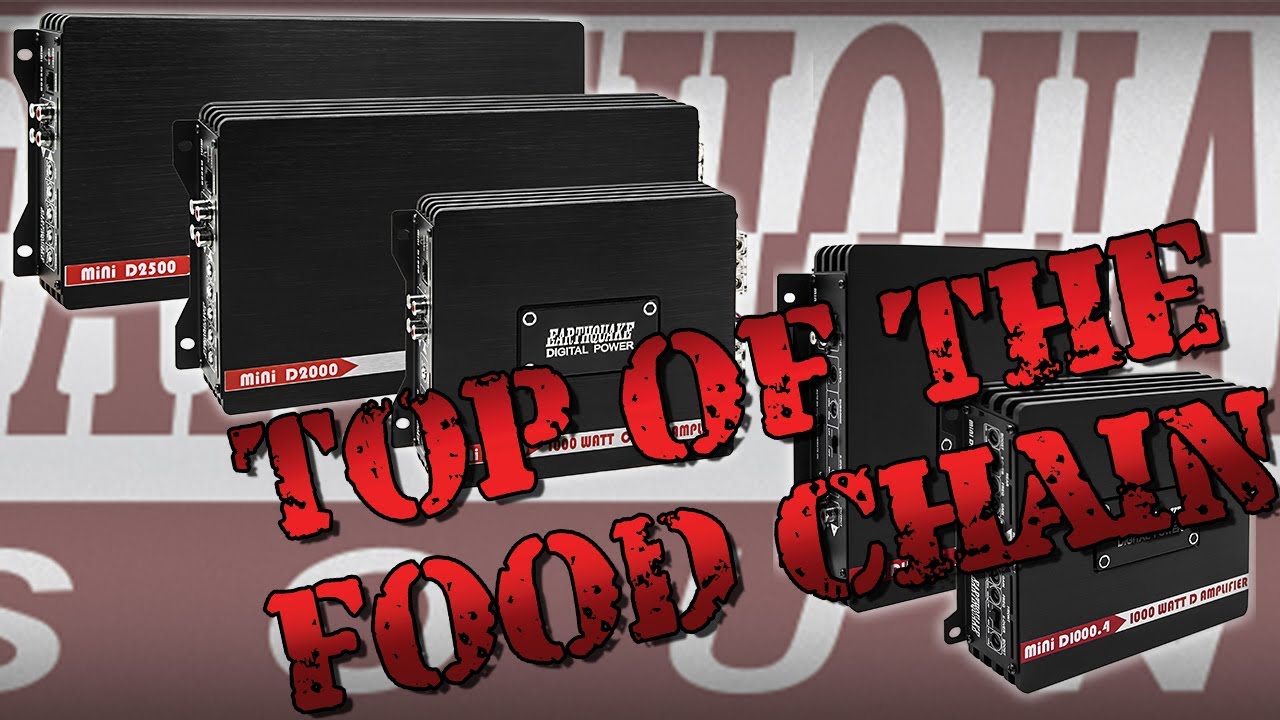 Earthquake Sound Mini D Amplifiers