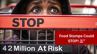 SNAP Benefits in Danger Court Fight Food Stamps 2025