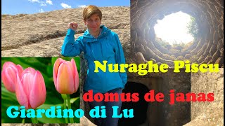 Giardino di Lu Domus de janas e Nuraghe Piscu