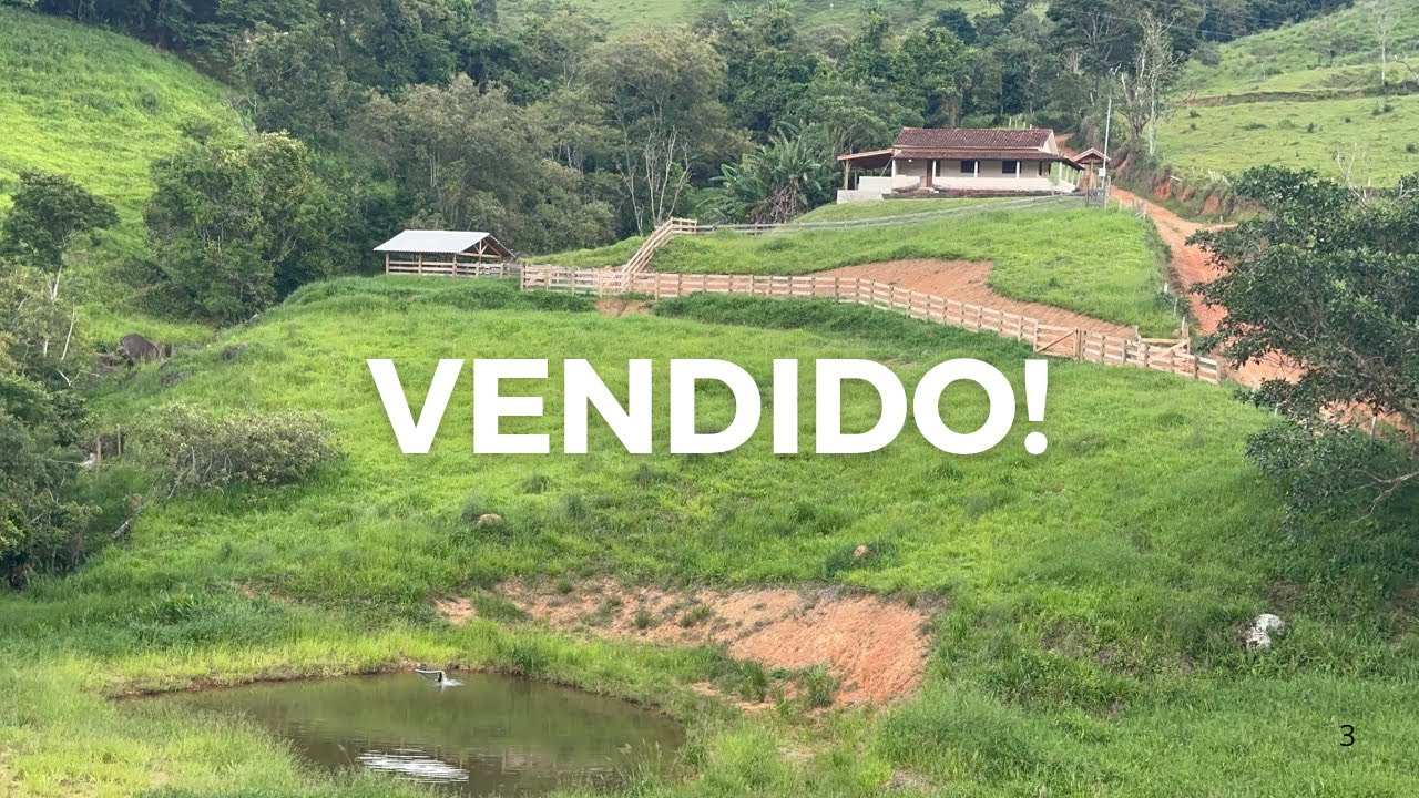 Sítio de 53.000 m2 Com Casa Curral 2 Riachos e Poço de Peixe em Borda da Mata MG