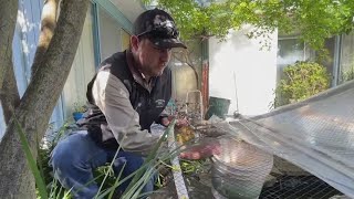 How to keep your background from becoming a mosquito breeding ground.