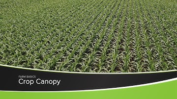 Crop Canopy