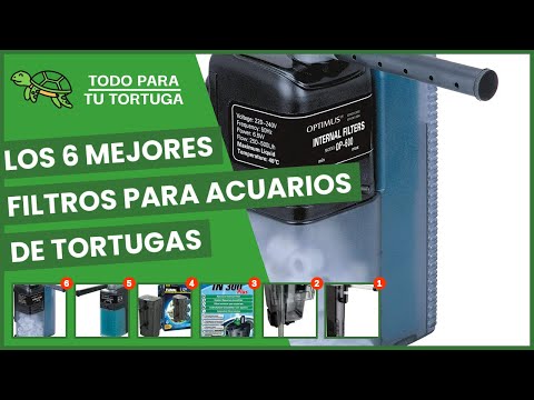 🥇 Filtros para tortugas de agua - Tipos de filtros y los mejores modelos