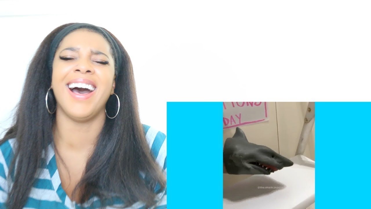 SHARK PUPPET COMPILATION | Reaction
