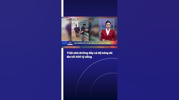 Triệt phá đường dây cá độ bóng đá  lên tới 400 tỷ đồng | VTVIndex