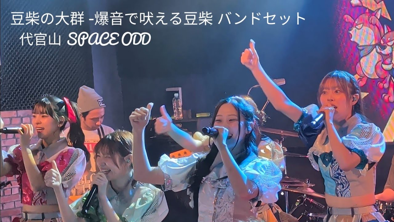 [4K] 豆柴の大群 - 爆音で吠える豆柴 バンドセット w/BACK-ON @代官山 SPACE ODD 20260306