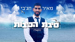 מאיר חג'בי - סיבת הסיבות