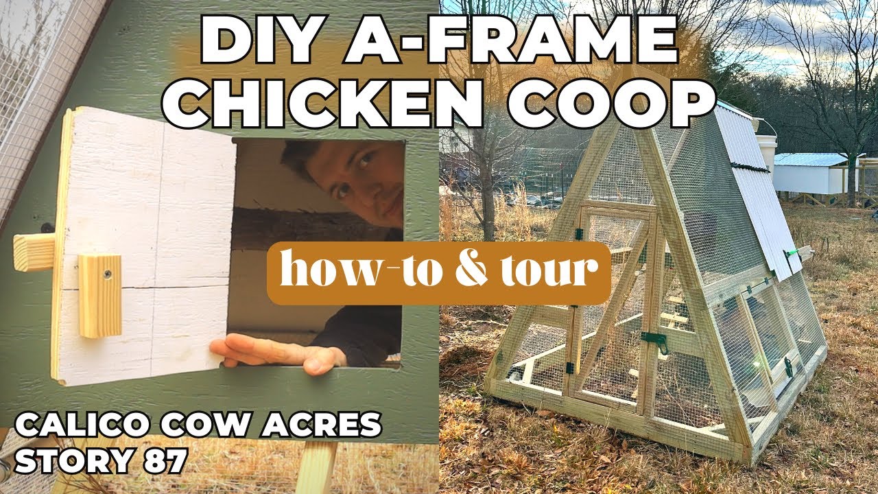 DIY A-Frame Mobile Chicken Coop | How-to & Tour | Homestead Builds