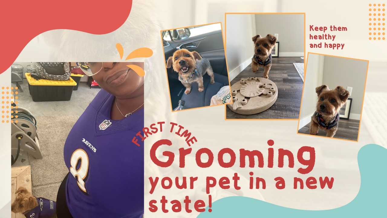 CAT ATTACK!| First Groom| Date Yourself!