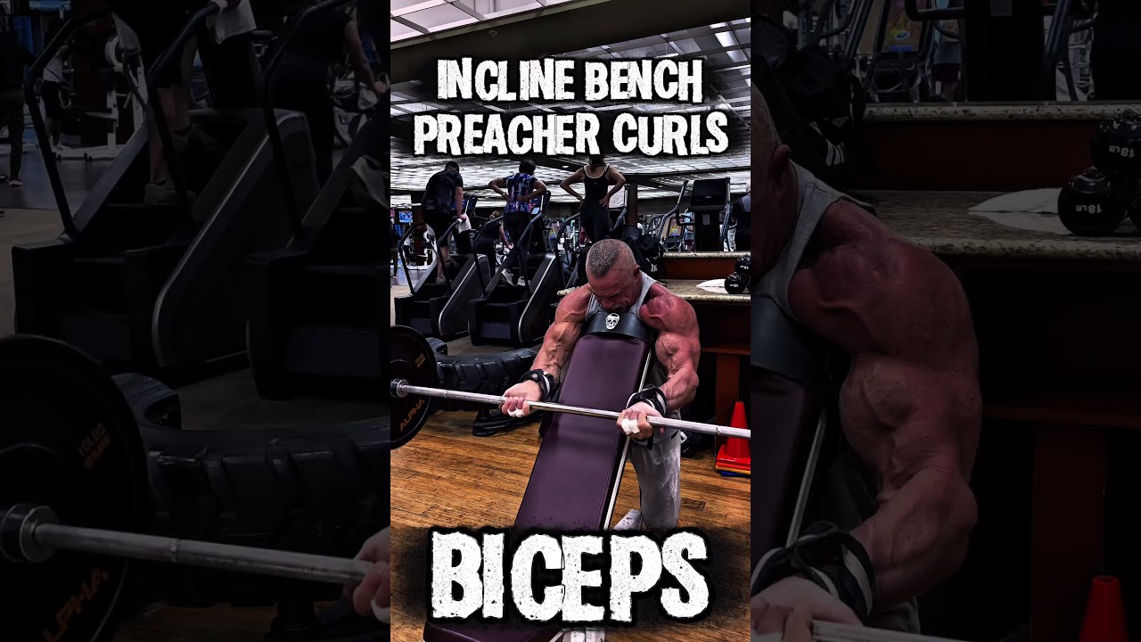 INCLINE BENCH PREACHER CURLS #biceps #pump #workout #motivation #workouttips
