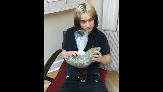 Celebrity Nettspend - Check [Prod. Rok] Net Worth