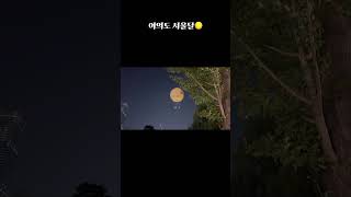 여의도 열기구 서울달🌕 #여의도 #여의도열기구 #열기구 #서울달 #여의도공원