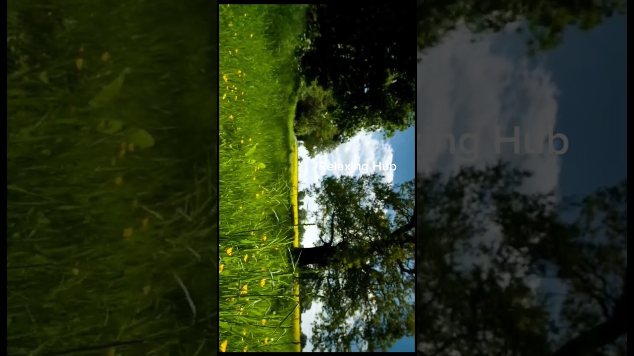 Captivating Landscape Scene in 4K Quality use 🎧.  