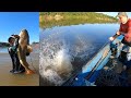 Cocinamos una cachama de 10 kilos y sacamos un pescado monstruo en el río orinoco !