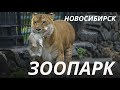 Зоопарк в Новосибирске - Novosibirsk ZOO - Куда пойти vlog