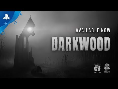 Video: Top-Down-Horror-Abenteuer Darkwood Kommt Zu Steam Early Access