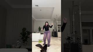 my cat was not impressed…