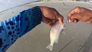Mayport Naval Station Fishing