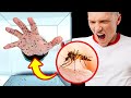 What If 1,000 Mosquitos Bit You + Other Wild What-Ifs