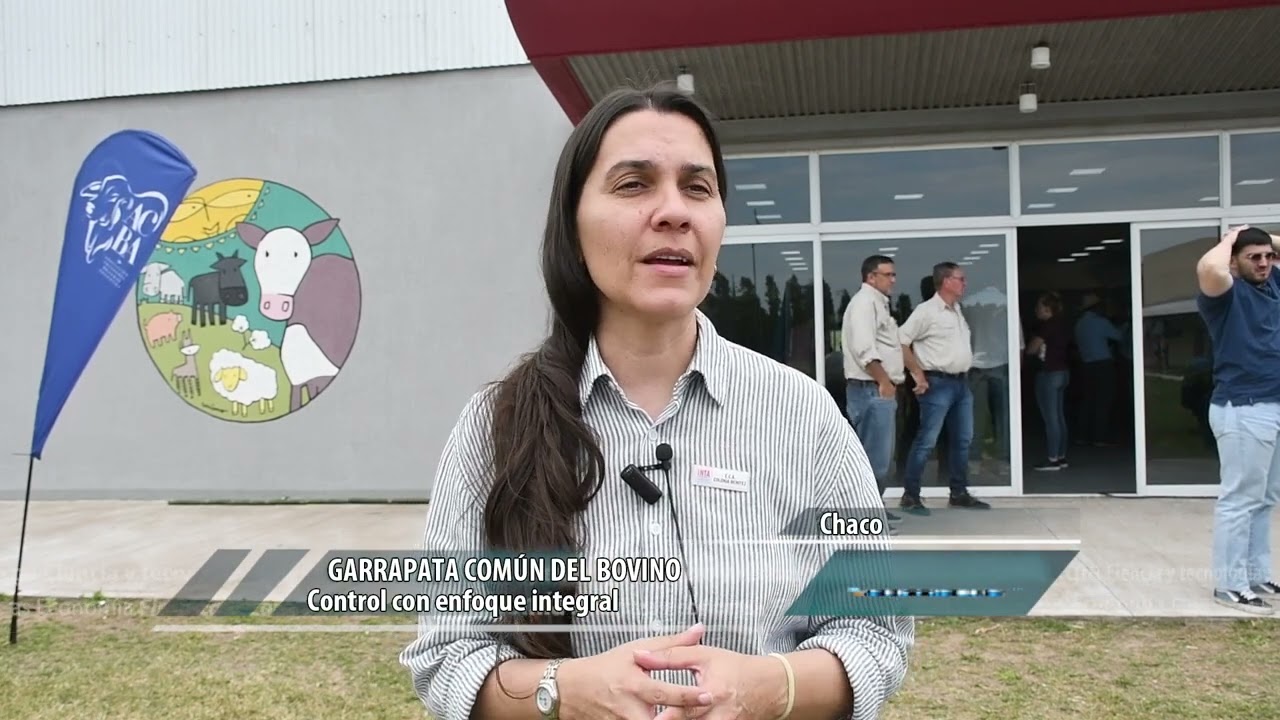 Control integral para la garrapata común de bovinos