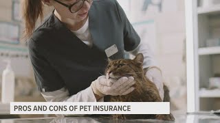 Pet owners consider need for furry friends to have insurance