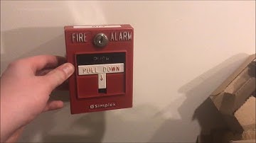 Pre  Simplex 4010 Test 1