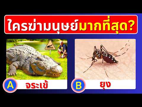 เกม ทายสุดยอดสัตว์โลก | ทายสัตว์ | Animal Quiz