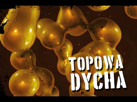 Wideo: 8 Najniebezpieczniejszych Chorób Letnich