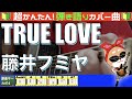 🔰【コード付き】TRUE LOVE / 藤井フミヤ 弾き語り ギター初心者