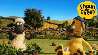 Shaun the Sheep  Hungry For Apples?  Cartoons for Kids  Full Episodes Compilation [1 hour]