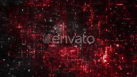 Data Network | Motion Graphics - Envato elements