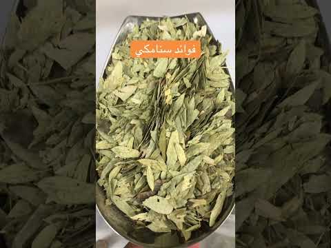 اعشاب طبيعيه سنا مكي طبيعي عضوي اعشاب طبيعيه