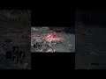 Defeating Lord of Cinder phase 2 #gaming