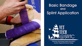 Basic Bandage and Splint Application