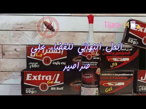 اكسترا جال الاصلي الفعال ضد الصراصير
