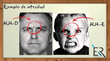 Facial Action Coding System - explicación