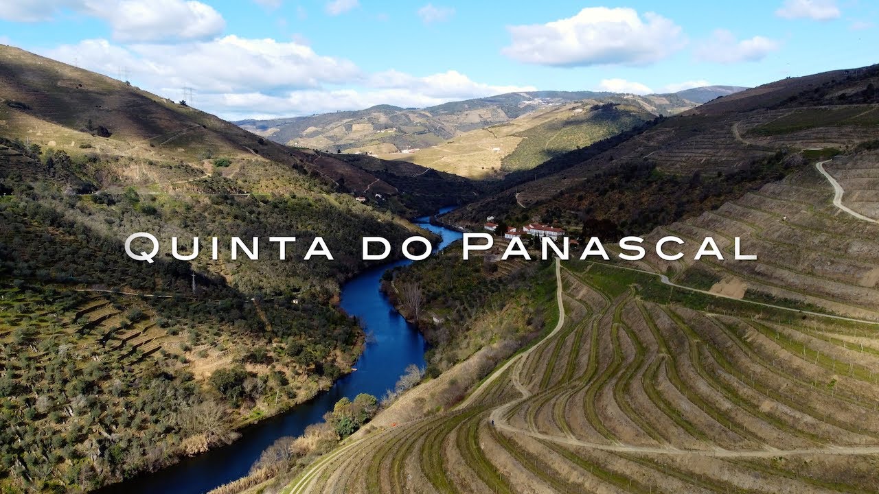 Quinta do Panascal (Fonseca)