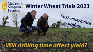 Winter Wheat Trials 2023 Will Drilling Time Affect Yield?