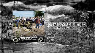 Video thumbnail of "16  FALSAS AMISTADES - CARIN LEON"