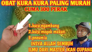 Obat murah untuk mengobati kura kura yang sakit