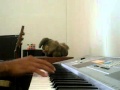 download jangan menyerah piano @.mp4 - irmandikaputra download jangan menyerah piano @.mp4 - irmandikaputra