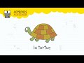 Apprends  dessiner avec sam 18  la tortue