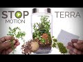 Terrarium build in stop motion