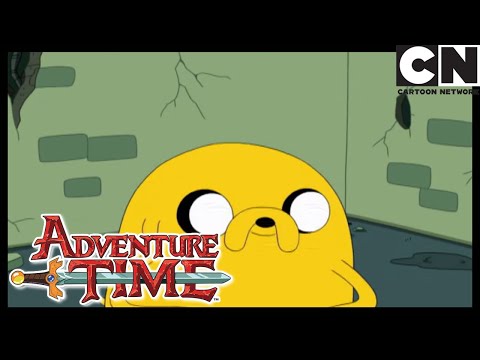 Обратно в школу | Время приключений | Cartoon Network