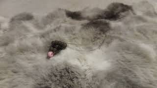 Kandi rat/mouse tutorial (gone wrong)