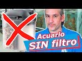 4 ALTERNATIVAS a usar FILTRO en el ACUARIO 🔄