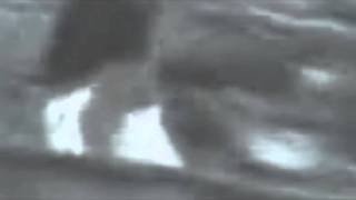 Minorías Indígenas Found Footage